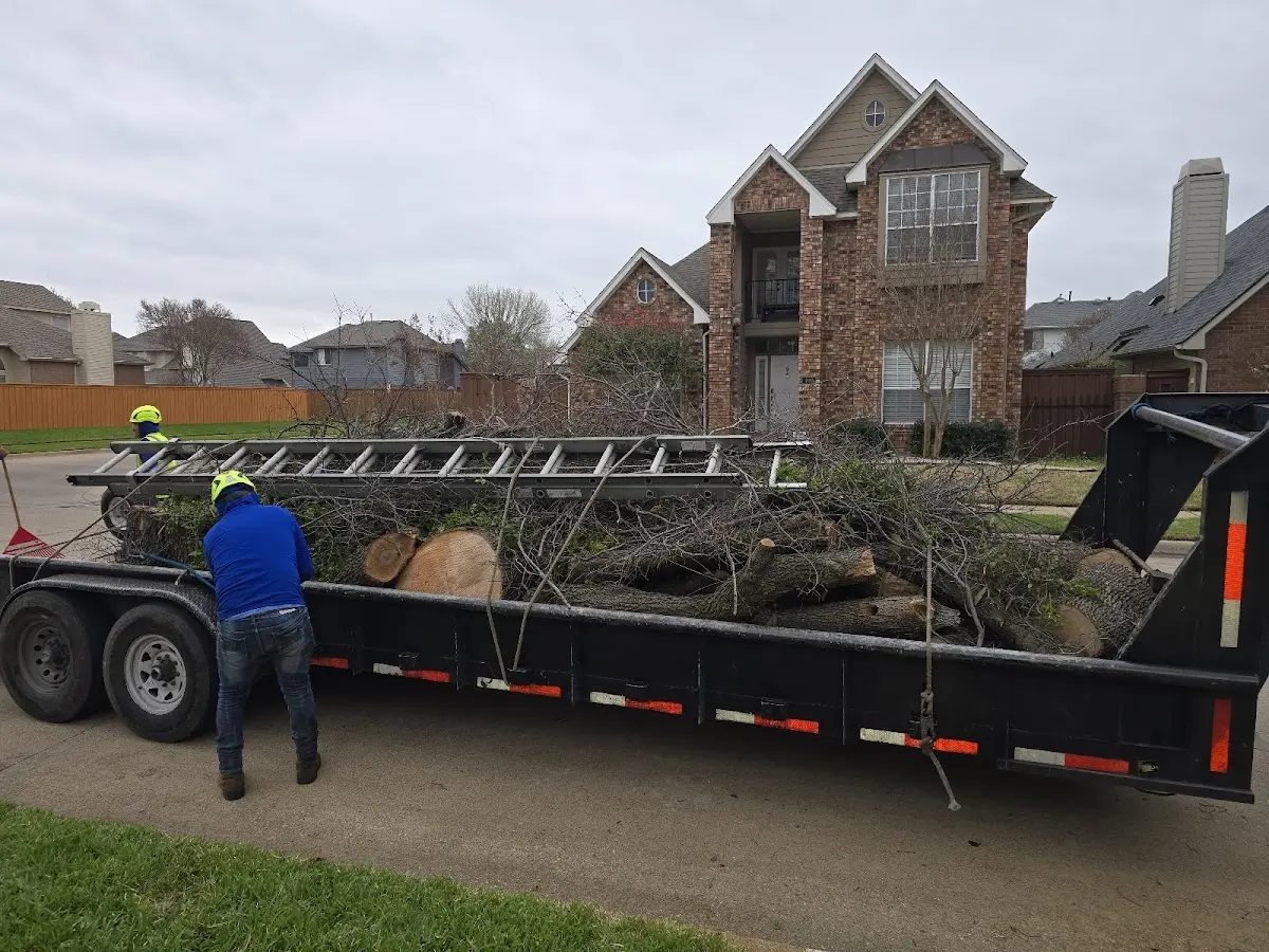 Expert Tree Removal with proper safety equipment in Wendell Depot